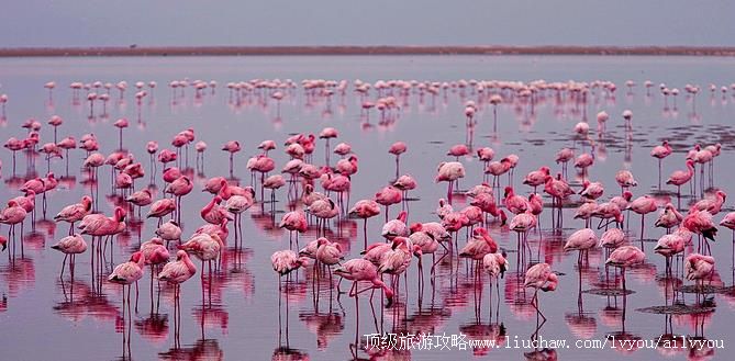 ���ױ��� �������棺1��