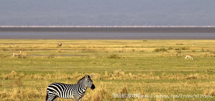 ̹ɣ���� �������棺1��