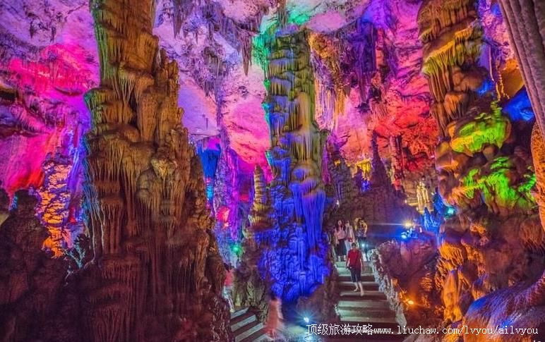 4A�����˲���ʨ�����������ι���