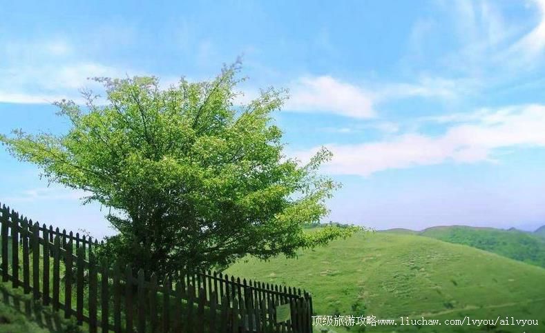 4A�����˲�����ĸ�ɽ��ԭ���������ι���