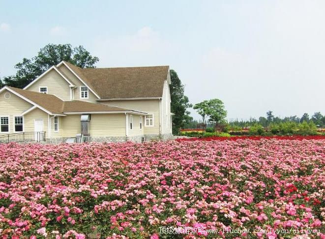 ��������õ�庣���ι���