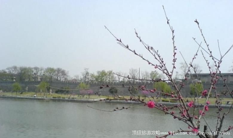 �������������Ż��Ǻ����ι���