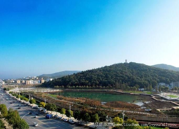 �����ɽ����ɭ�ֹ�԰���ι���