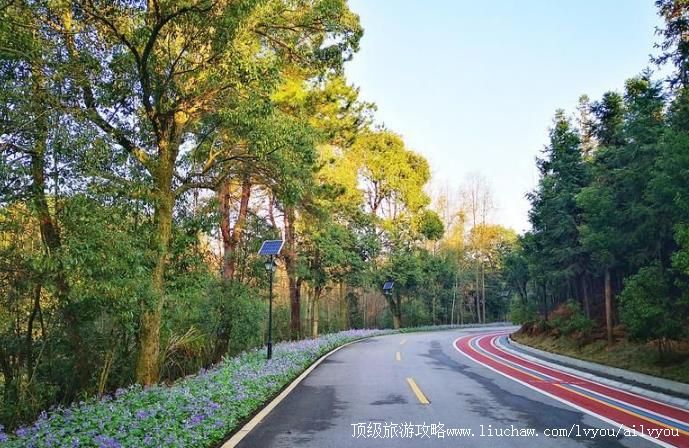 4A����������Ұ��幫԰���ι���