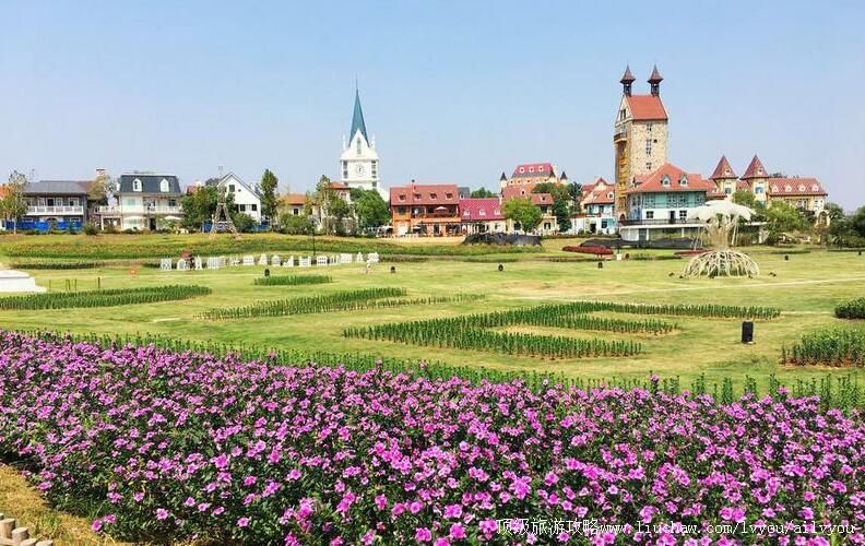 �����人���������ι���