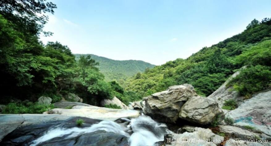 5A�����人ľ��������ι���