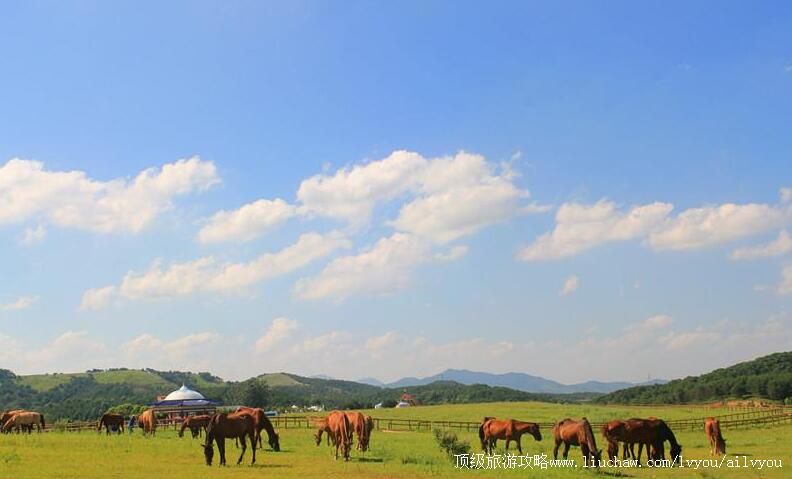 5A湖北武汉木兰草原风景区旅游攻略