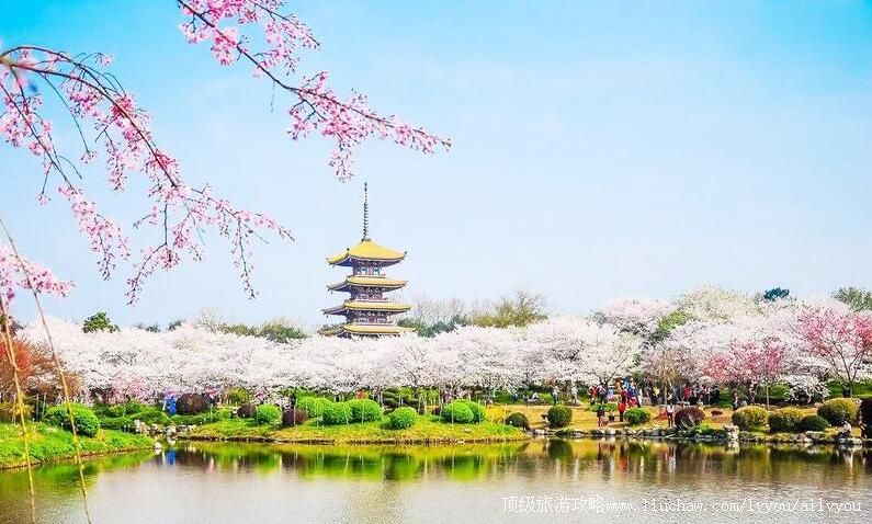 5A湖北武汉东湖磨山景区旅游攻略