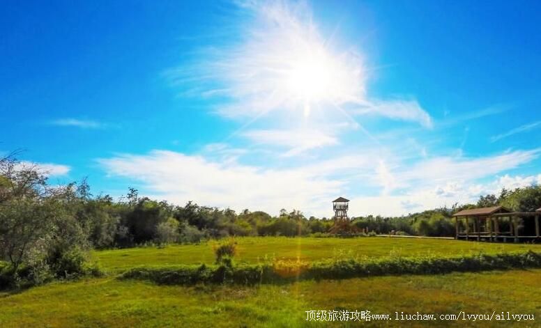 4A新疆乌什沙棘林湿地公园旅游攻略