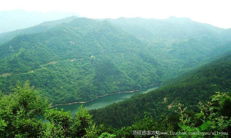 4A�����人ľ������կ���ι���