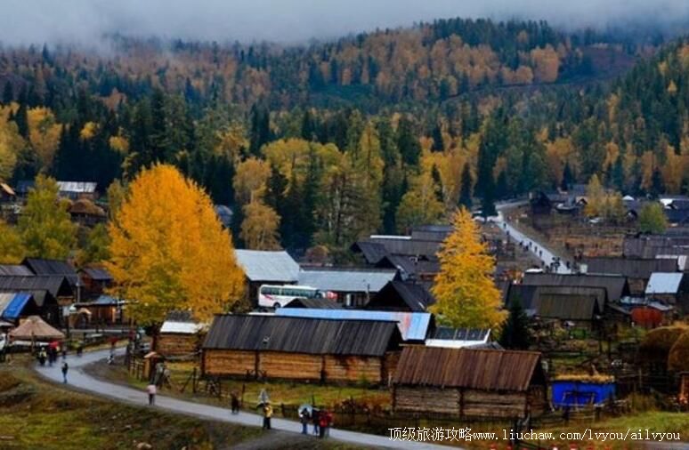 新疆白哈巴村旅游攻略