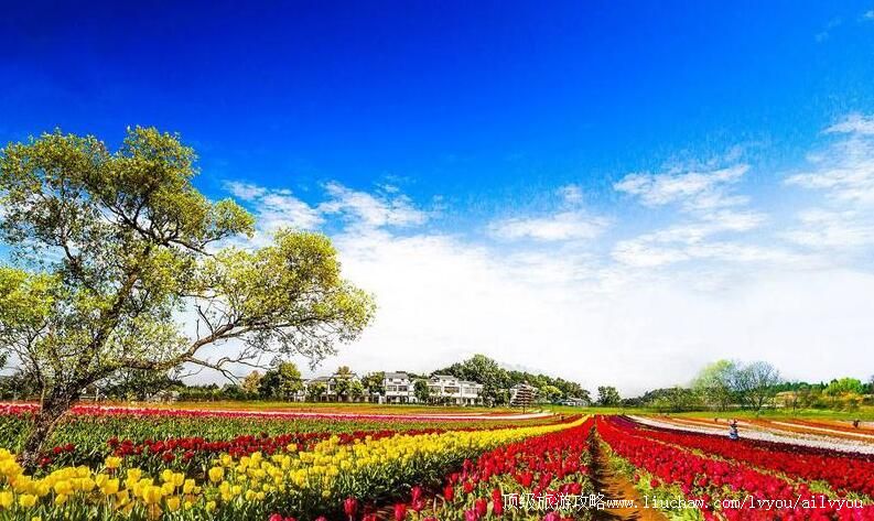 4A�����人����ľ�����羰�����ι���