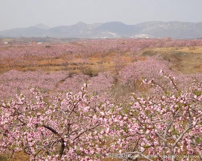 �������������һ��羰�����ι���