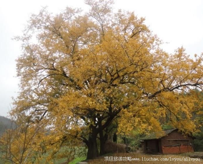 ��������ǧ�����ӹ����ι���