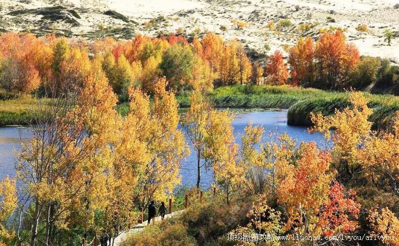 4A�½����ͺӰ����־������ι���