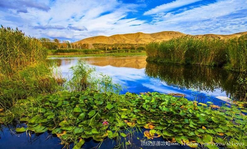 5A�½���ɳ�����ι���