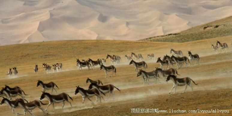 �½�������ɽ��Ȼ���������ι���