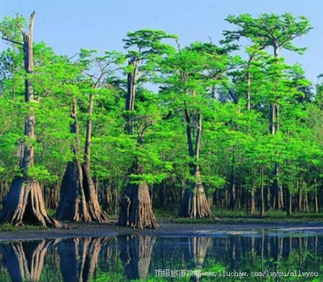 5A������ũ�ܺ�ƺ�������ι���