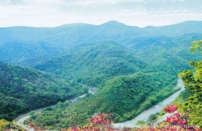 2A������ɽԧ��ϪƯ�����ι���