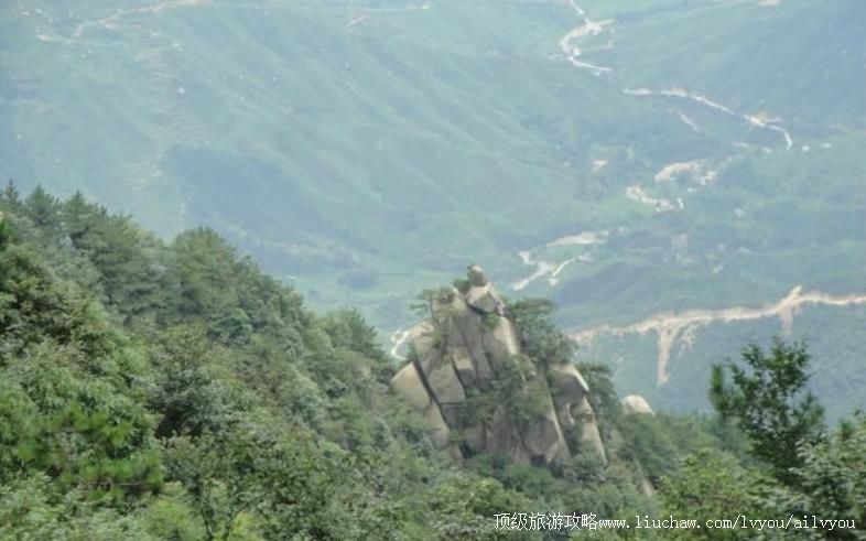 ����Ų��԰�������ι���