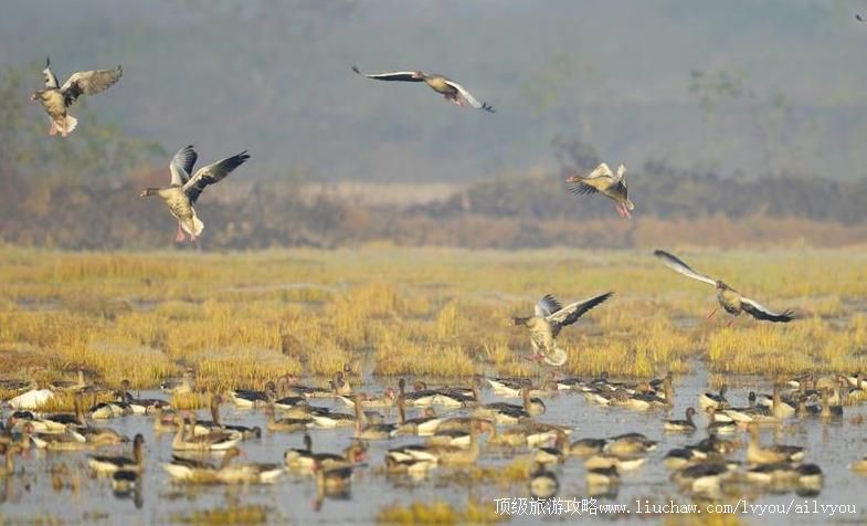 �������к����Ҽ���Ȼ���������ι���