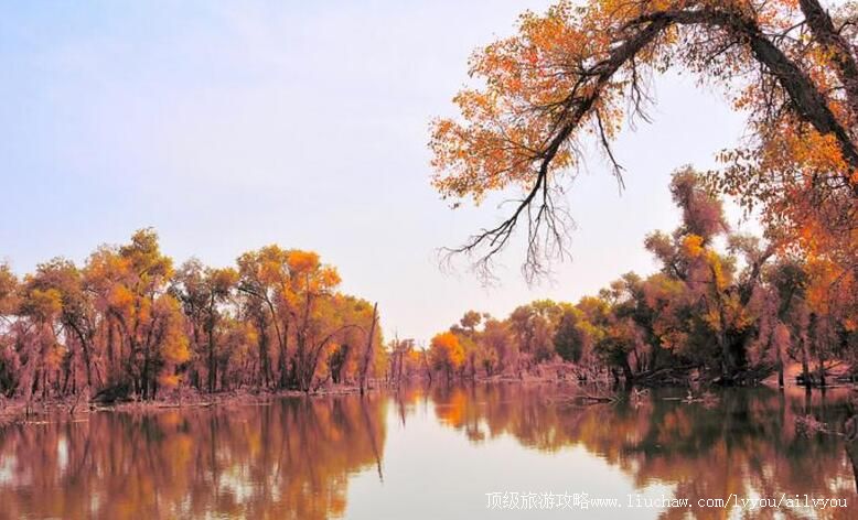 4A�½���̨����ľ���������ι���