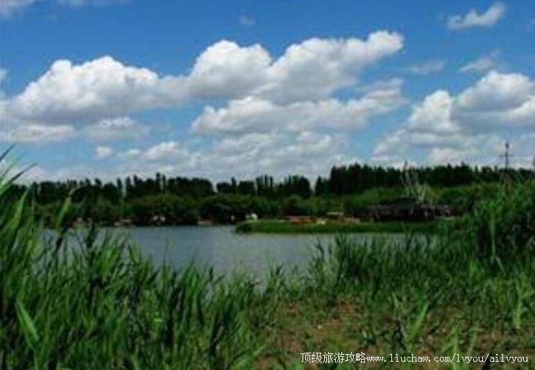 3A新疆昌吉黑马生态科技园旅游攻略