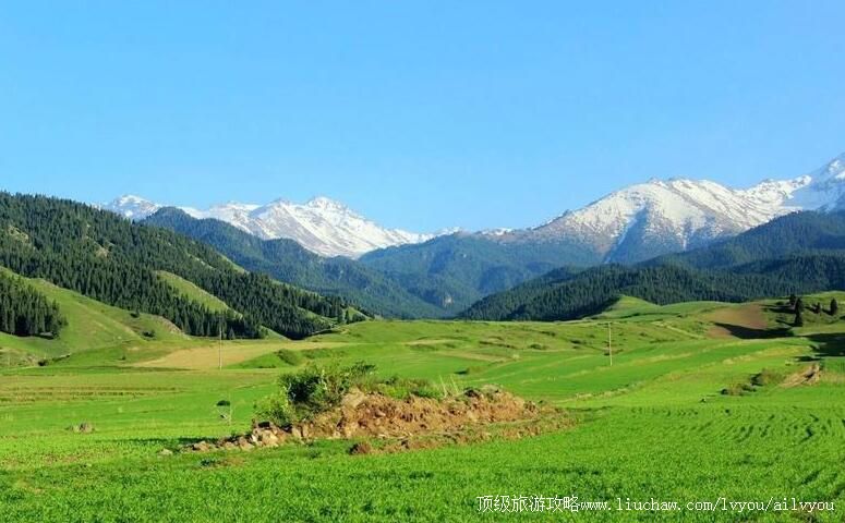 3A新疆车师古道国家森林公园旅游攻略