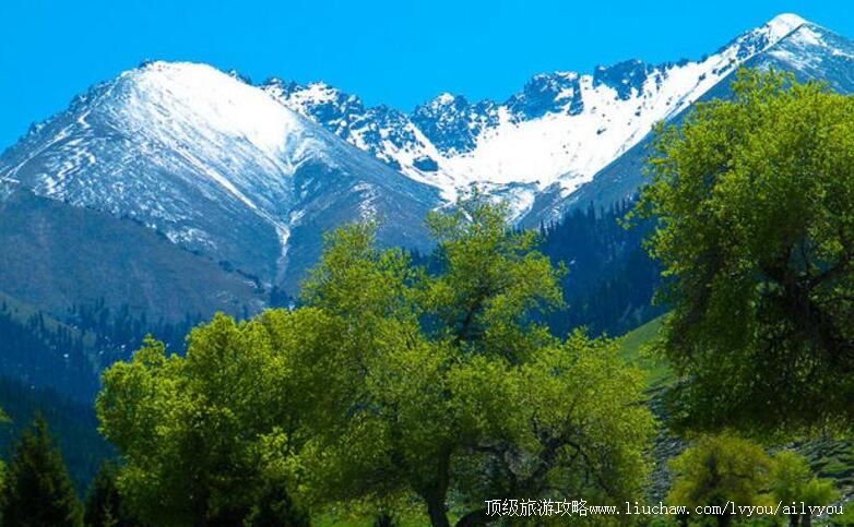 4A�½����շ�ɽ����ɭ�ֹ�԰���ι���