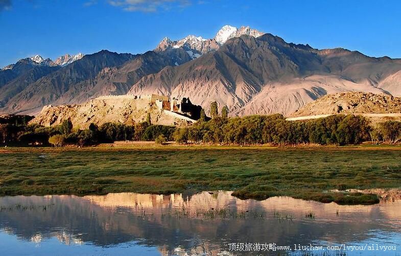 �½����Ⱥ����ι���