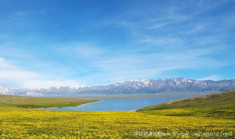 4A�½�����ľ�����ι���