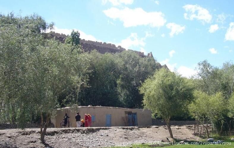 �½����������ι���