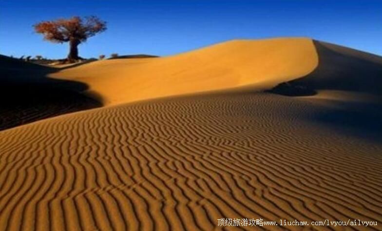 4A�½����������η羰�����ι���