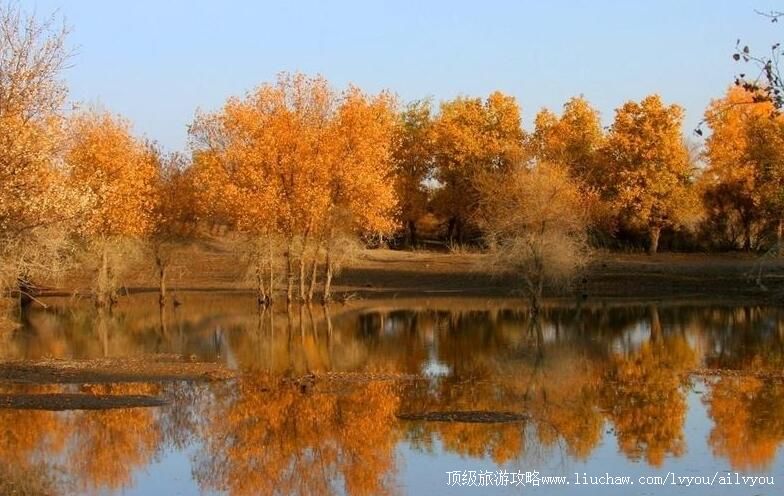 5A�½���ʲ���ս��������ι���