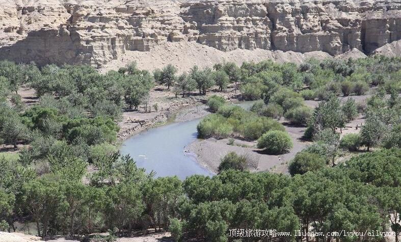 2A�½�����Ӵ�Ͽ�����ι���