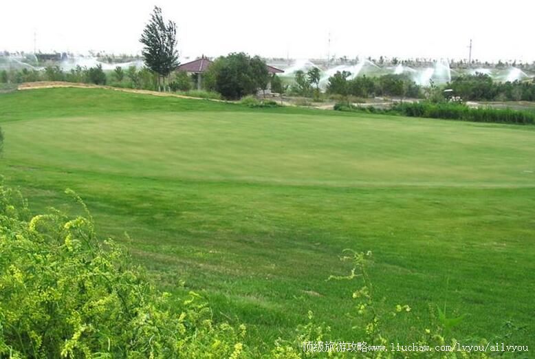 2A�½���Į���ʸ߶�����ֲ����ι���