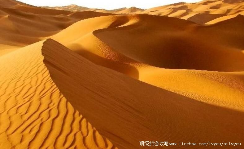 4A�½���ľ����ɳĮ��԰���ι���