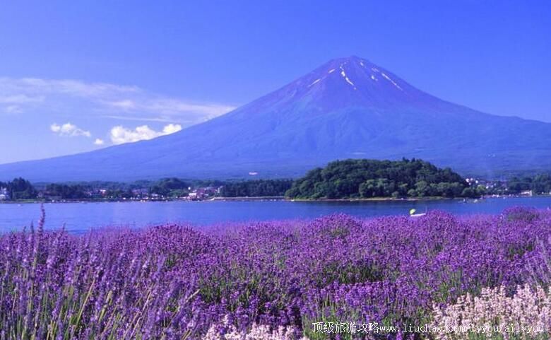 �½�����޹�²ݻ������ι���