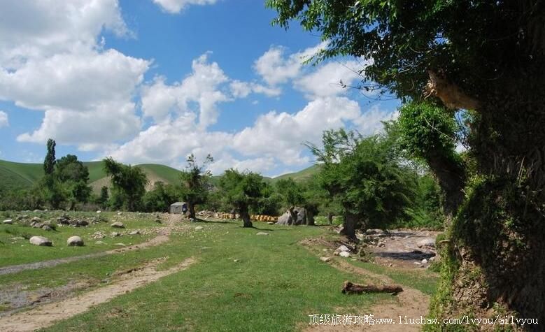 �½����������˹��ܹ����ι���