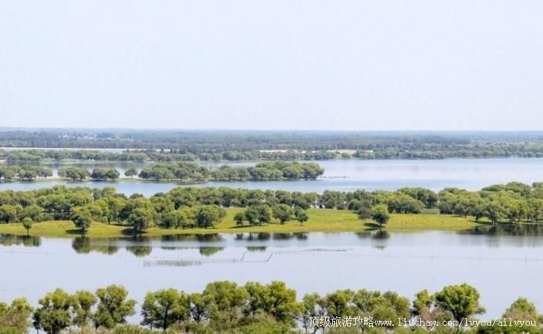 新疆西天山国家级自然保护区旅游攻略