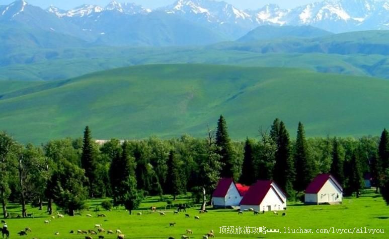 �½�����ӹ����ι���