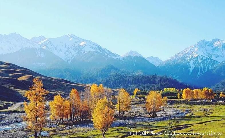 3A�½���������ľ�������ι���