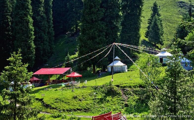 3A�½������ʯ��������ɭ�ֹ�԰���ι���