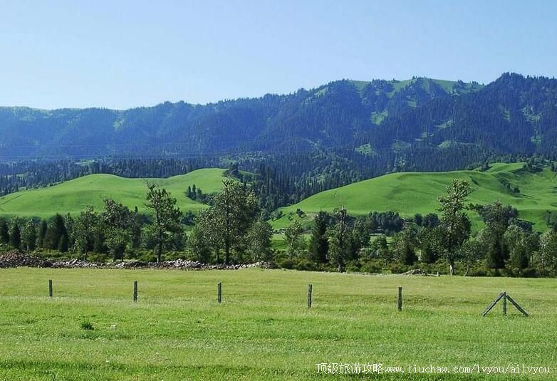 3A�½������������ԭ���ι���