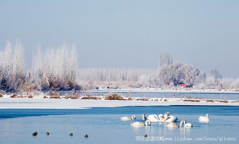 3A�½��������Ȫʪ�ع�԰���ι���