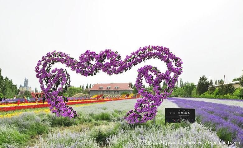 4A�½�������ǹ���޹�²�԰���ι���