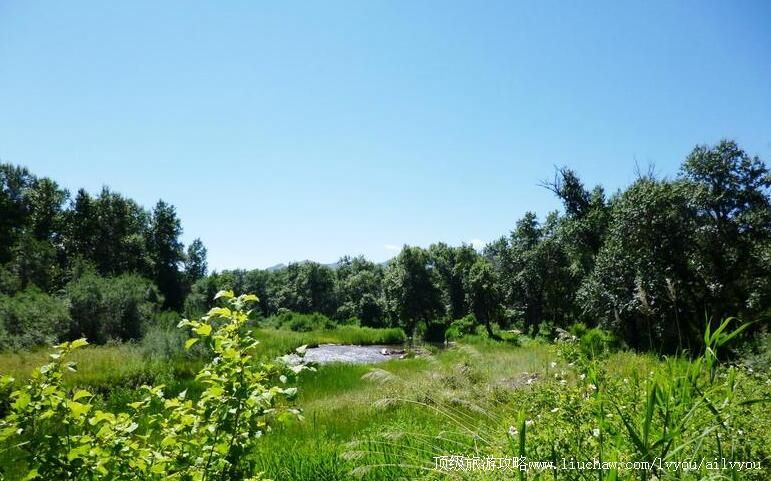 4A�½��������տ�ʪ�ع���羰�����ι���