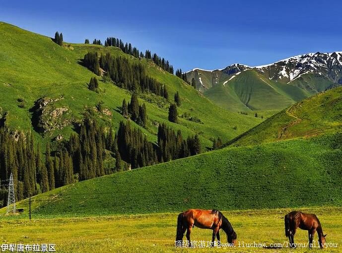 4A�½������Ʋ����������ι���