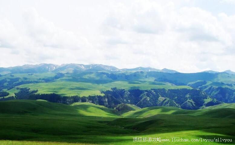 4A�½������к����շ羰�����ι���