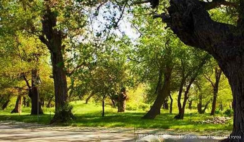 2A新疆乌鲁木齐燕尔窝风景区旅游攻略